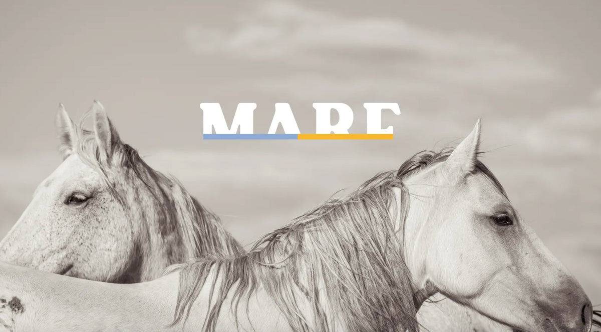 The MARE Project